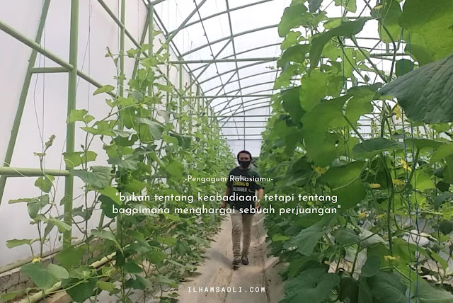 TeFa Smart Green House Polije TeFa Smart Green House Polije