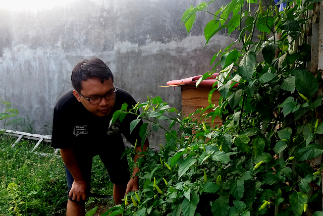 Cara Menjaga Kewarasan Kegunaan Vipro-G