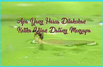 Apa Yang Harus Dilakukan Ketika Ujian Datang Menyapa Apa Yang Harus Dilakukan Ketika Ujian Datang Menyapa