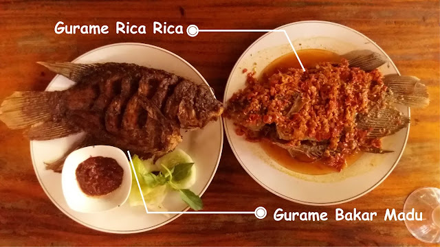 [Explore Jember] Mencicipi Gurame Terenak di Resto Azkiya