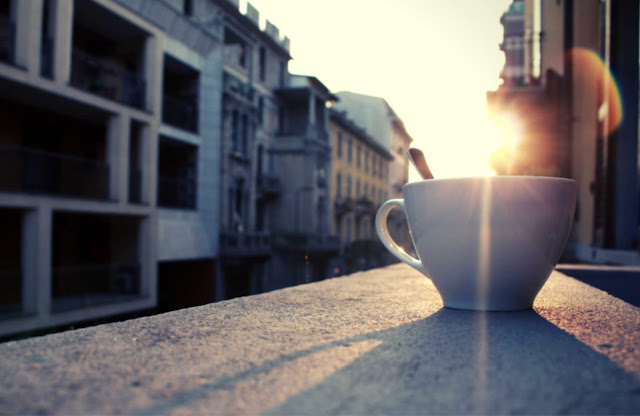 Selain Padamu, Aku Juga Jatuh Cinta Pada Buku