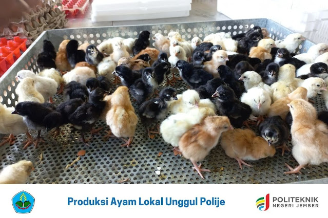 Campus Visit 2021 Campus Visit 2021