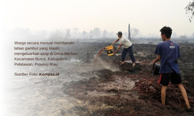 Kebakaran Hutan dan Lahan Gambut